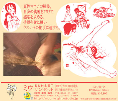 M-161-D裏