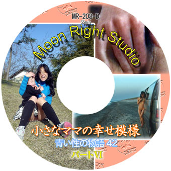 MR-208-D表